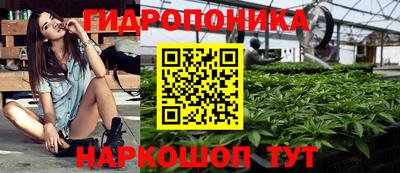 метадон Сланцы